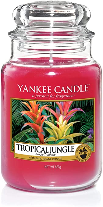 YC TROPICAL JUNGLE GR 623GRS