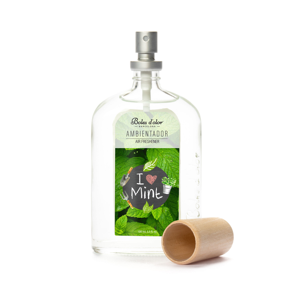 SPRAY I LOVE MINT 100ML